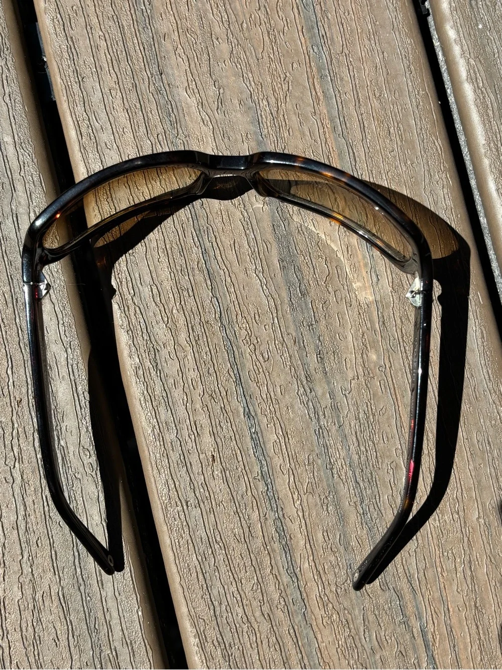 Coach Samantha Brown Tortoiseshell Sunglasses with Signature Case